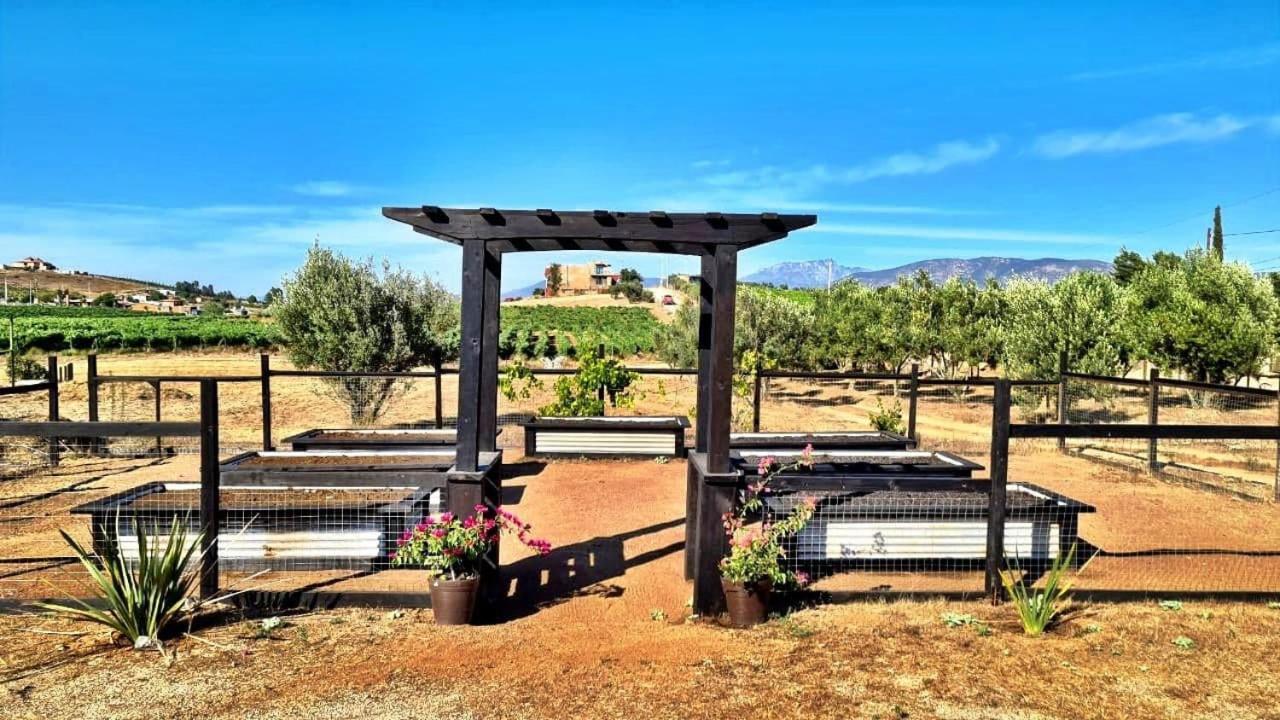 Finca Vidandrei Casa Eucalipto バジェ・デ・グアダルーペ エクステリア 写真