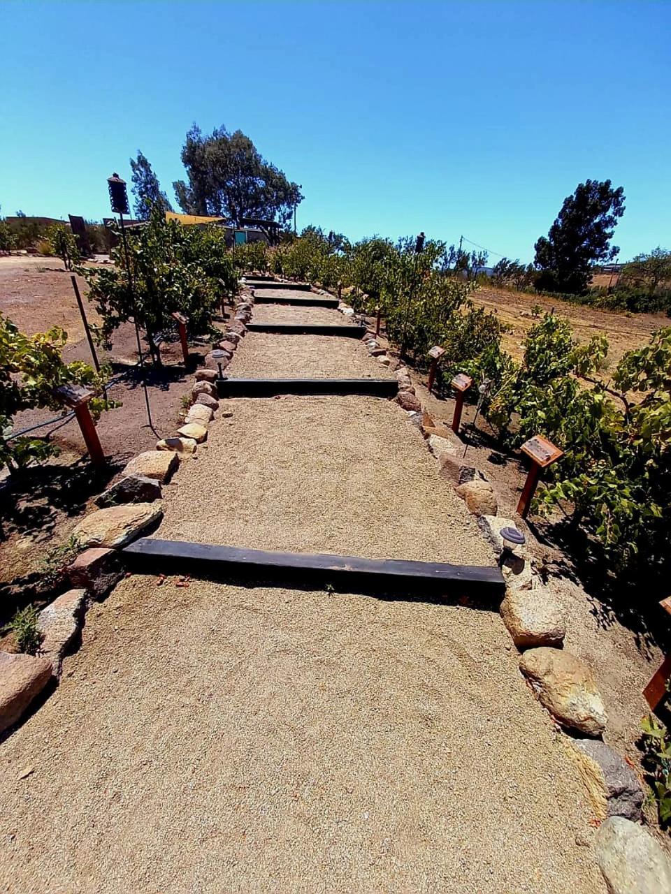Finca Vidandrei Casa Eucalipto バジェ・デ・グアダルーペ エクステリア 写真