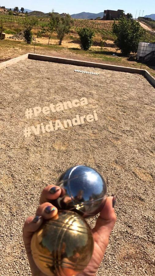 Finca Vidandrei Casa Eucalipto バジェ・デ・グアダルーペ エクステリア 写真