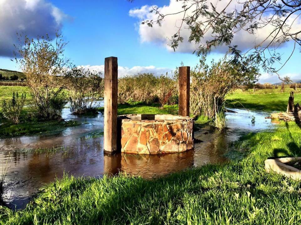 Finca Vidandrei Casa Eucalipto バジェ・デ・グアダルーペ エクステリア 写真