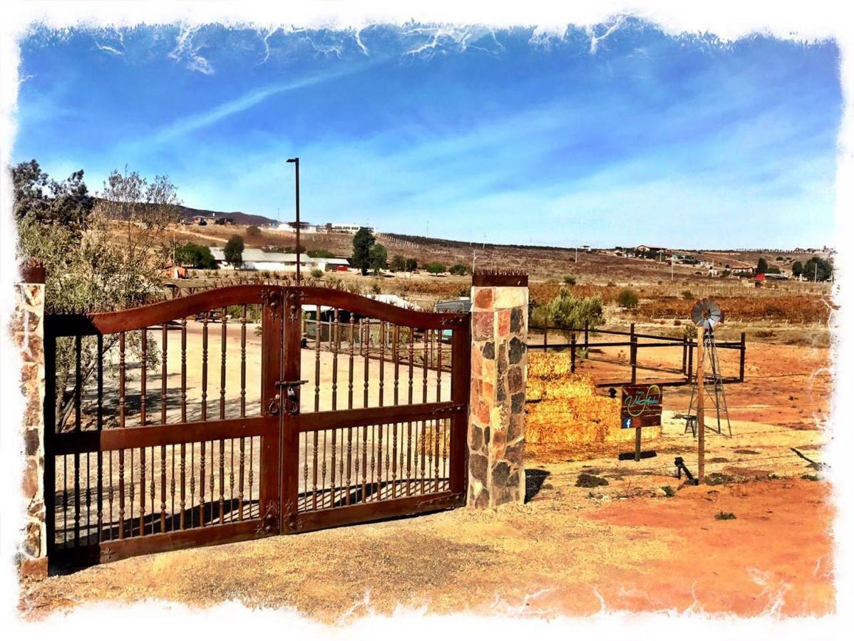 Finca Vidandrei Casa Eucalipto バジェ・デ・グアダルーペ エクステリア 写真