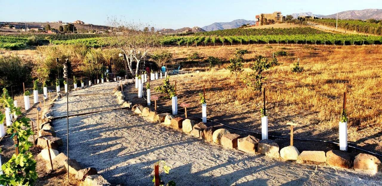 Finca Vidandrei Casa Eucalipto バジェ・デ・グアダルーペ エクステリア 写真